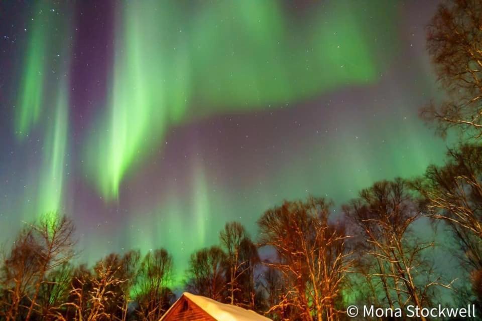 Riverside Cabins Talkeetna Exterior foto